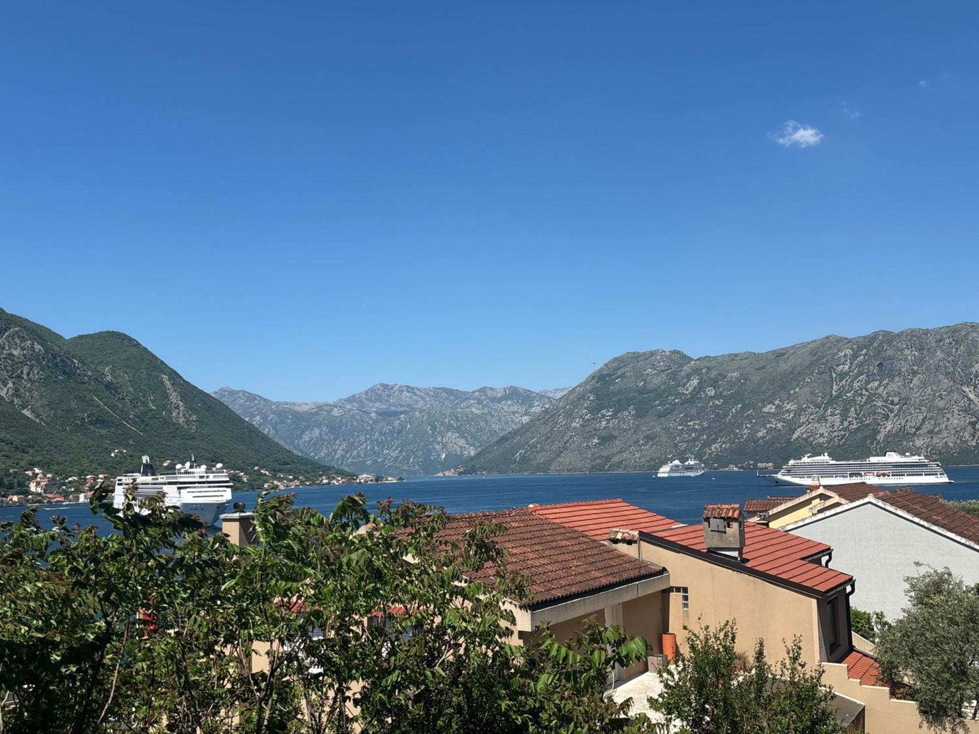 Modern Seaside Apartment With Balcony Tale Apartment Kotor Dış mekan fotoğraf